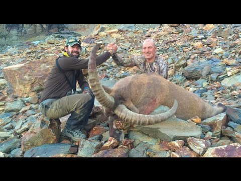 World Wide Hunting GLOBAL SAFARI AZERBAIJAN Trailer 2015