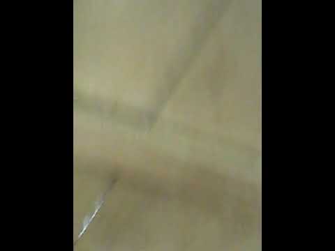 Orang gila tersenyum 2