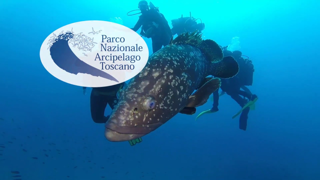 Vivere le Isole di Toscana