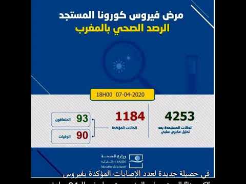 شد دارك دير الخير فراسك