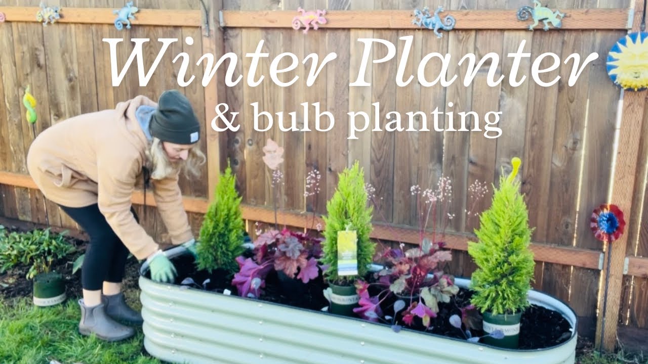 Winter container planting ️ Vego Garden Bed winter garden bed YouTube