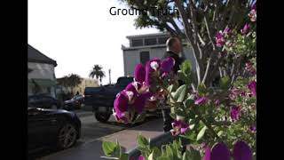 Fast and Accurate Reconstruction of Compressed Color Light Field