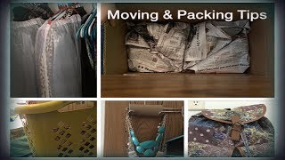 6 tips and tricks i like to use when move from apartment home or
vise-versa. good for if you're in college too make your easier!
subscribe my...