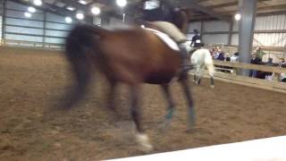 Samantha Peck on Catwalk & Thea Chafee on Sunday (Open Flat)