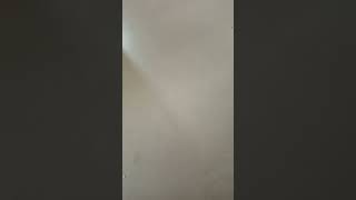 19 September 2025