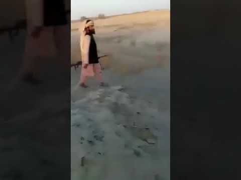 هزاران طالب در نیمروز افغانستان آماده حمله به ایران