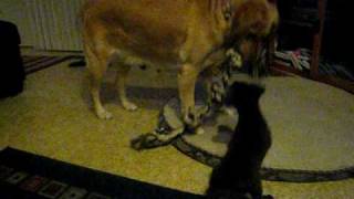 MVI_2713.AVI