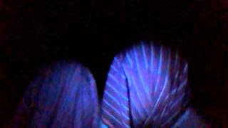 Capture 20160302