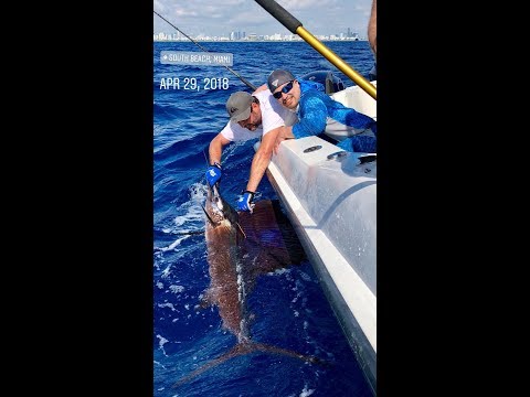 fishing-sailfish--blackfin-and-m