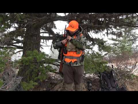 KIFARU UNIVERSAL GUN BEARER IS IT THE RIGHT ONE FOR YOU 