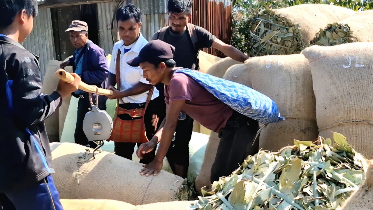 KA IEW DIE_THIED  SLA TYRPAD.