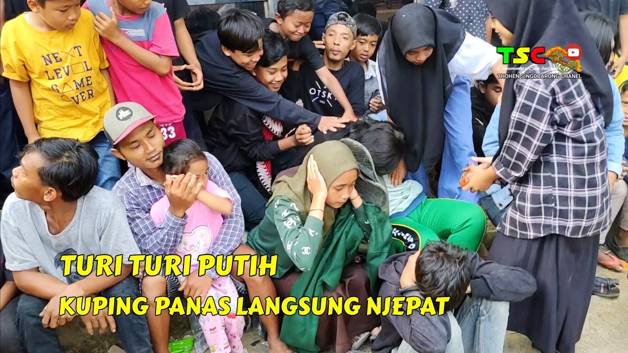 Turi turi putih kuping auto panas|| jaranan lampung tsc