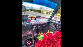 Whatsapp Və İnstagram Üçün Loqosuz Status Videolarısalona Gəl