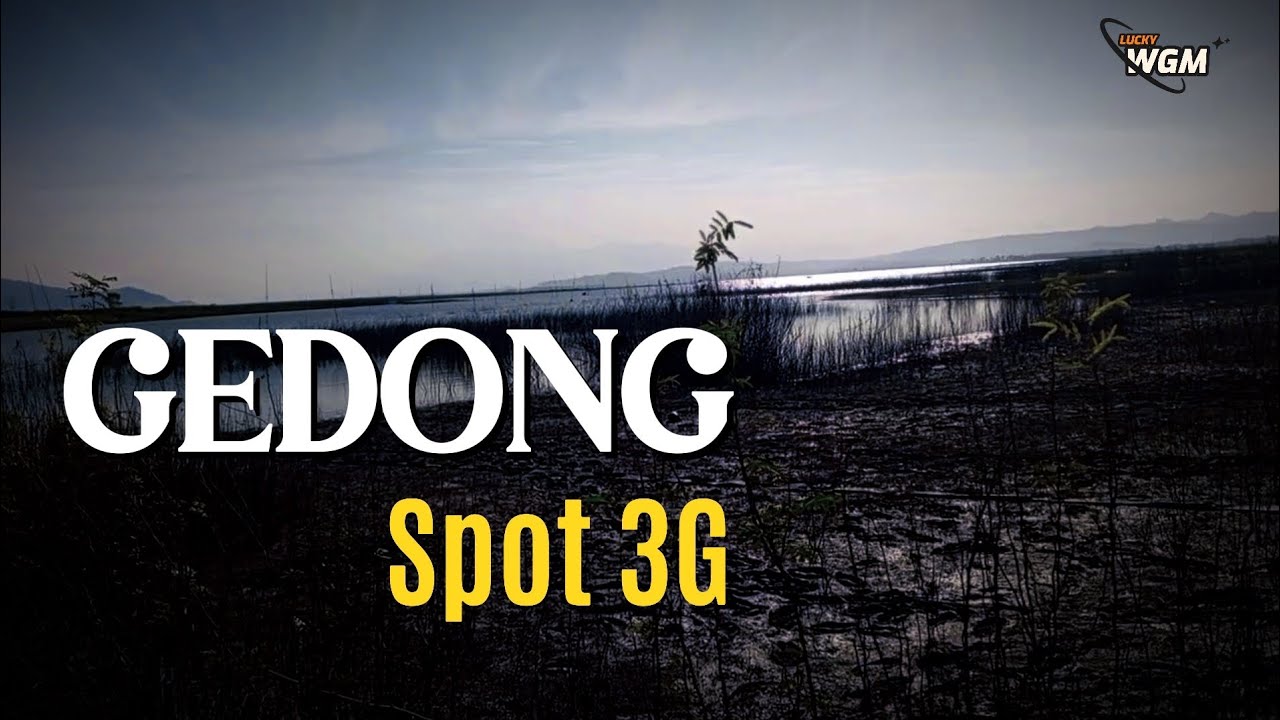 Pecinta ikan 3g wajib kesini‼️ Update spot Wgm terbaru 