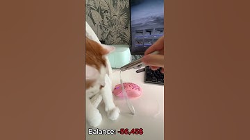 My cat open cases # #cs2 #cs2stream #gaming #cs2clips #cat #cs2live #gamer #opencase #csgo