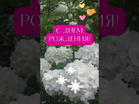 Милые цветы... С днем рождения!