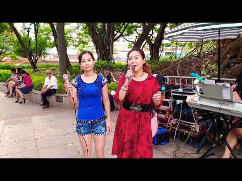甘心情愿爱着你  小宜 罗拉 屯门公园表演  旺角菜街艺人singing 2018年10月9日