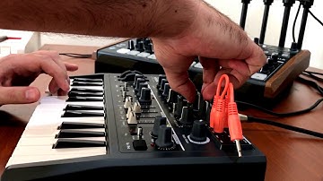 Arturia MicroBrute - Blupoint - VIDEO REVIEW