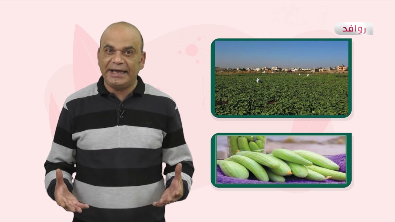 العلوم والحياة 7 - فصل 2  | تركيز المحاليل