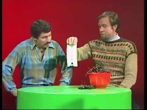 Trapped Cherries Puzzle - Trapped Cherries Puzzle