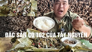 Làm món cà đắng, cá nhét campuchia đùm lá chuối nướng lửa than | đặc sản có 102 của Tây Nguyên.