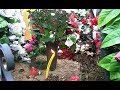 Любимый всеми композитор оказался никому не нужен после сме*рти