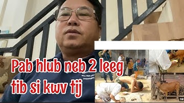 Tham pen txog lawv sib txeeb nyuj haus ntshav nyuj sib foom. 13/12/2025