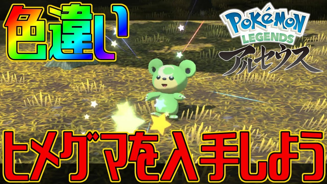 ポケモンアルセウス 色違いヒメグマを入手しよう Pokemon Legends アルセウス Youtube