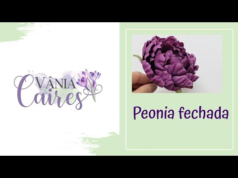 Vídeo: As Peônias Não Florescem - O Que Fazer?