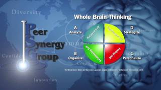 Information Peer Synergy Group - Organizational Alignment News