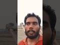 #vlog#गाव का खेती का बादाम#shorts