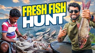 Live Fish Shopping In Poolampatti Dan Jr Vlogs