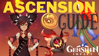 Xinyan Ascension Guide Xinyan Ascension Guide