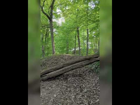 Видео: Природен резерват Morningside: Пълното ръководство