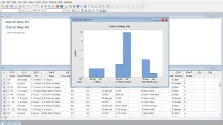 Categorical Data Bar Chart