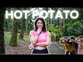 Hot Potato Official Music Video