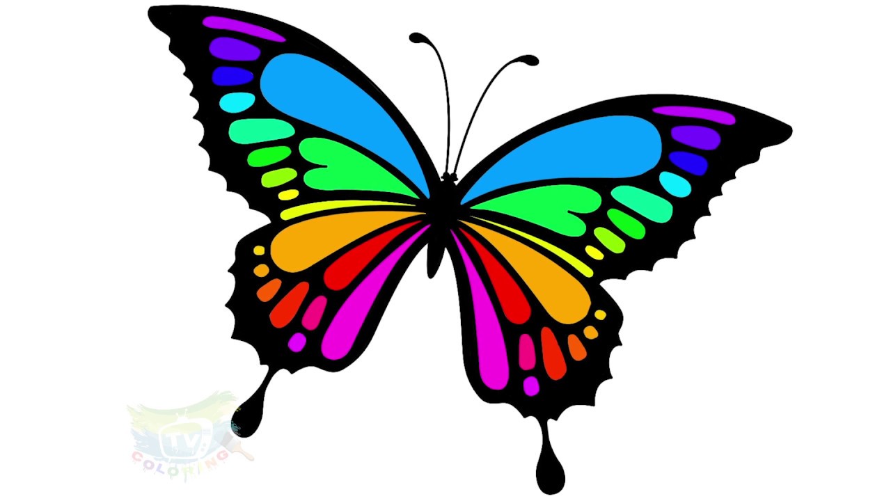 🦋 How To Draw And Color Butterfly Easy - Coloring Pages For Kids - YouTube
