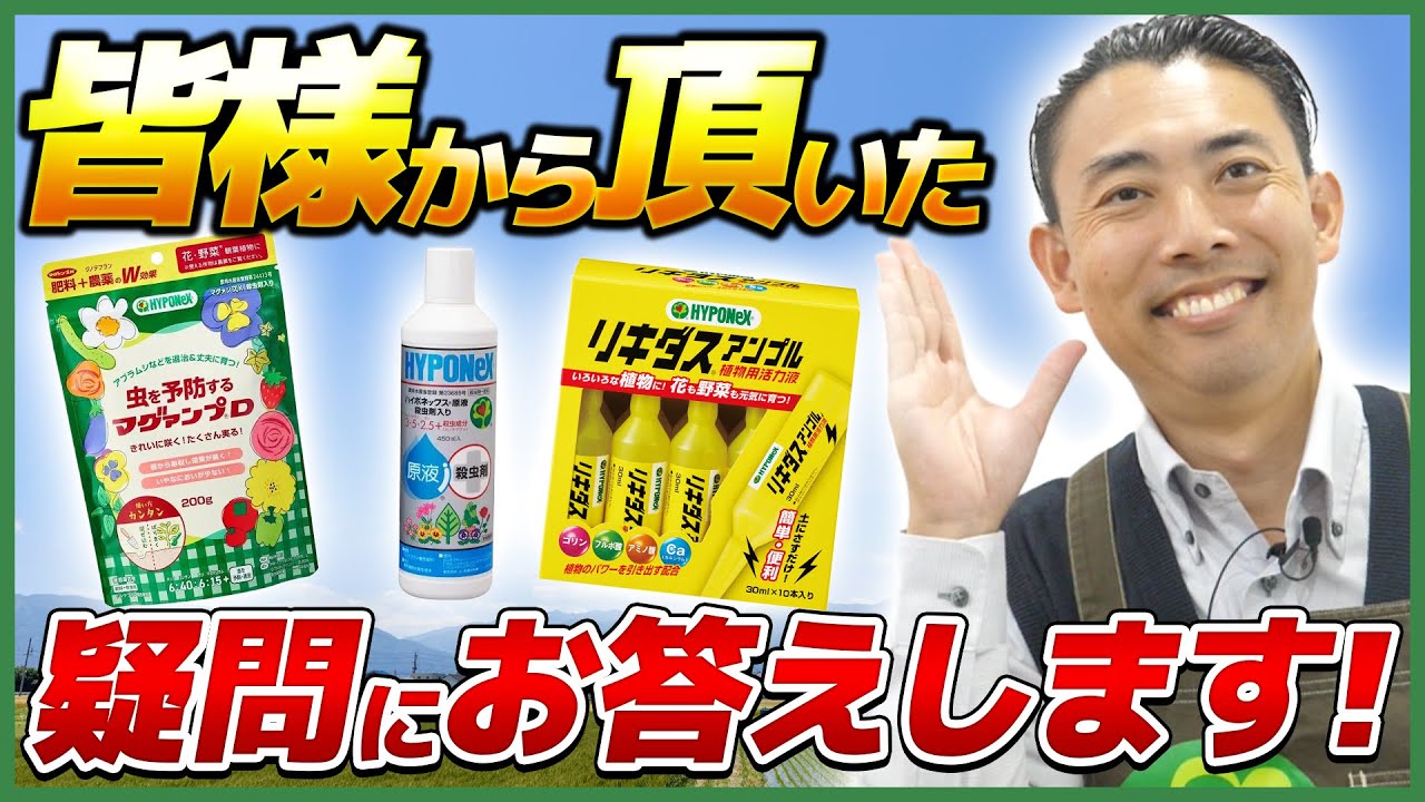 たいていの手技は効果を倍増できる fit=scale-down,w=1200