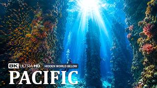Pacific Ocean | The Hidden World Beneath Earth’s Largest Ocean | 8K Documentary