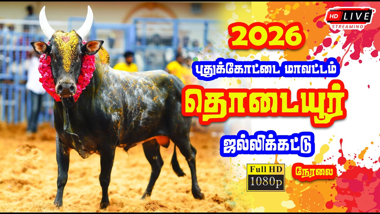 🔴 Live | புதுக்கோட்டை - தொடையூர் ஜல்லிக்கட்டு நேரலை / Pudukottai - Thodaiur Jallikattu Live