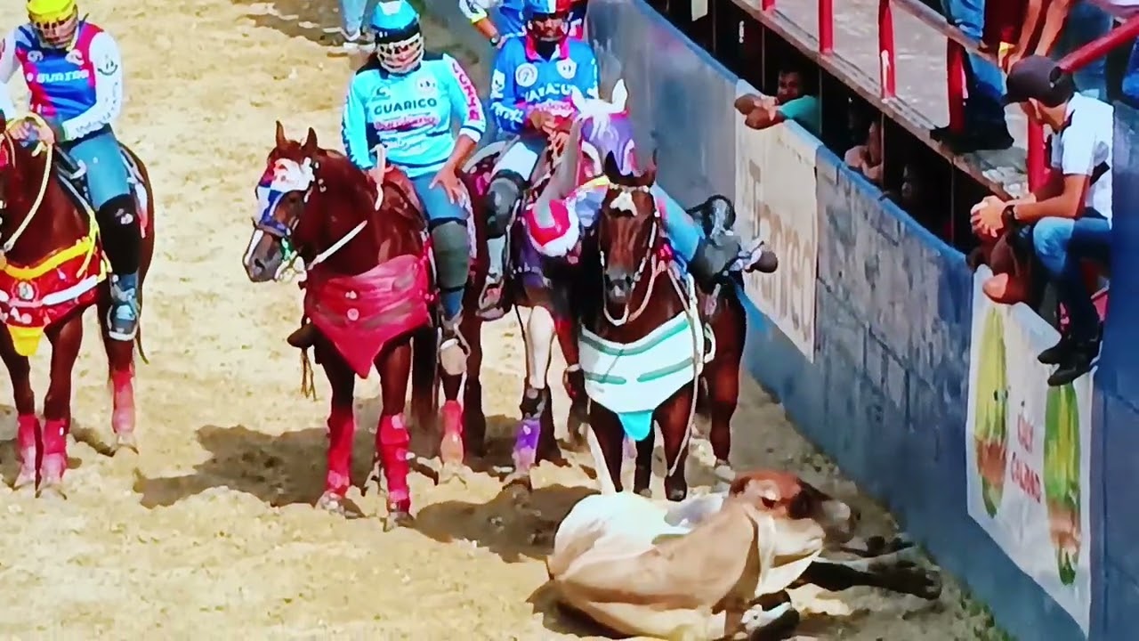 Copa FEVECO 2.024; coso, coleadas, recoleos, coñazos y suelazos del último día