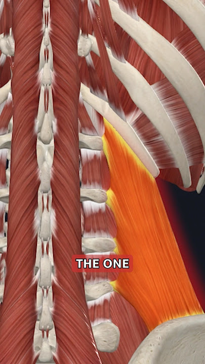 Back Pain? Massage This Spot! #lowerbackpain #lowerbackpainrelief