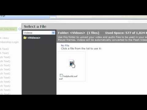 Insert Flash File - Websiteforge Ecommerce Website