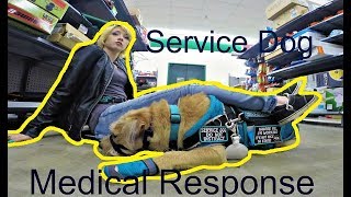 Service Dog Medical Response Off Leash