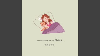 Classic Prenatal - Serenade No.13 In G Major K.525 Eine Kleine Nachtmusik - Menuetto... Resimi