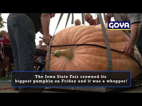 Iowa State Fair crowns its biggest pumpkin