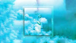 Monogem  Wild terry Zhong Remix  Visualizer