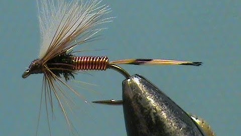 Fly Tying DC