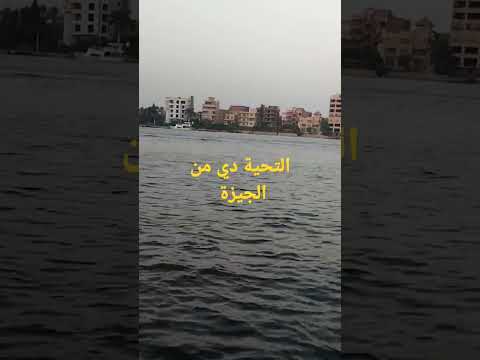 التحية دي من الجيزة وصلت لافين