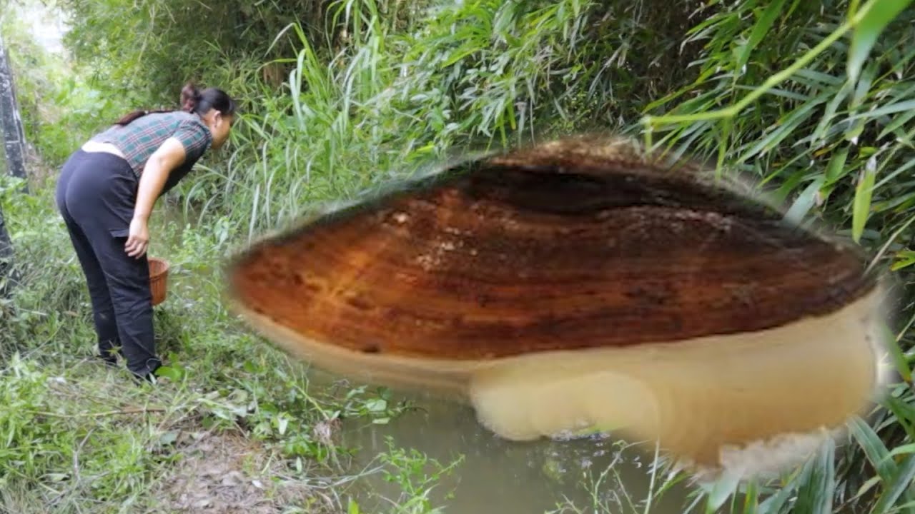 It's amazing. I picked rare purple pearls and finally gained huge wealth,